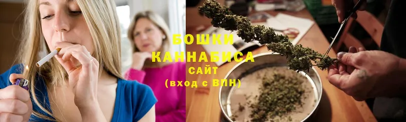 Бошки марихуана ГИДРОПОН  купить наркотики сайты  Карасук 